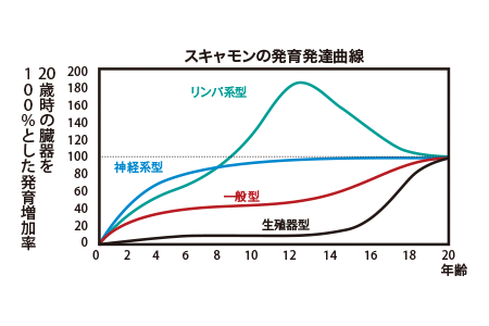 スキャモンの発育発達曲線